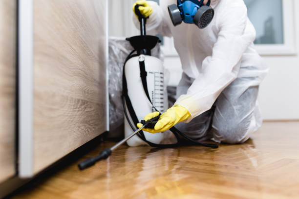 Best Pest Inspection Near Me  in Binghamton, NY