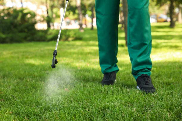 Flea Control Services in Binghamton, NY