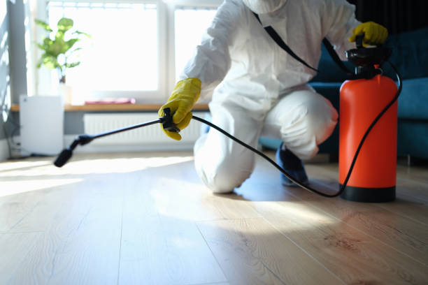 Best Insect Control  in Binghamton, NY