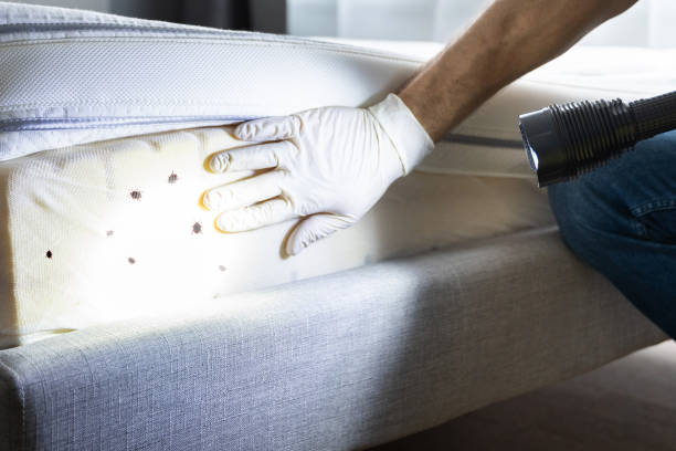 Pest Control for Restaurants in Binghamton, NY