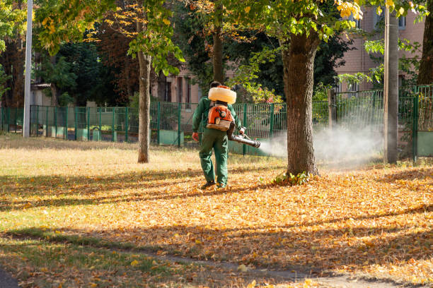 Best Residential Pest Control  in Binghamton, NY