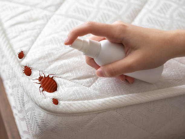 Best Exterminator Services  in Binghamton, NY