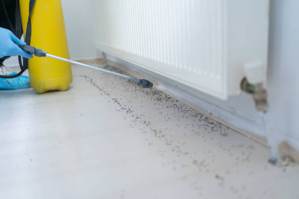 Best Cockroach Control Services  in Binghamton, NY