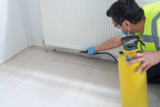  Binghamton, NY Pest Control Pros