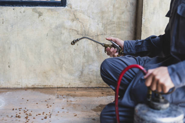 Best Best Pest Control Companies  in Binghamton, NY